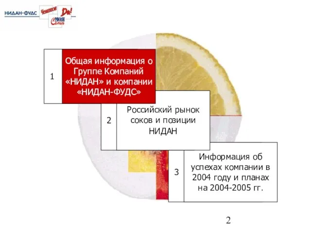 3 1 Информация об успехах компании в 2004 году и планах на