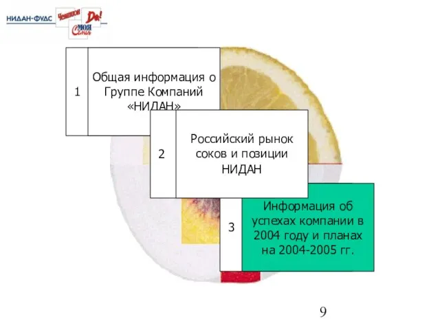 3 1 Информация об успехах компании в 2004 году и планах на