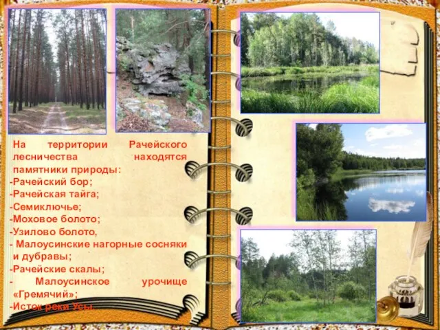 На территории Рачейского лесничества находятся памятники природы: Рачейский бор; Рачейская тайга; Семиключье;