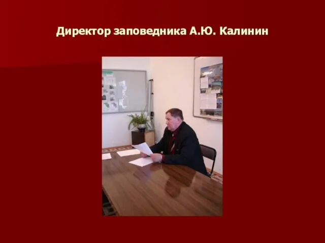 Директор заповедника А.Ю. Калинин