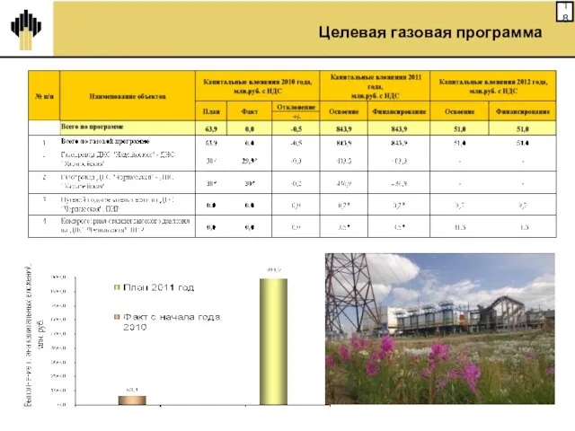 Целевая газовая программа