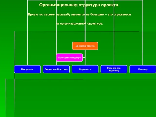 Организационная структура проекта. Проект по своему масштабу является не большим – это отражается на организационной структуре.