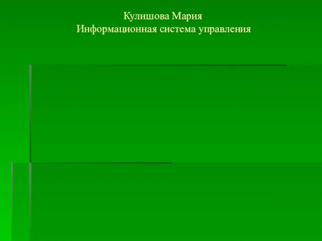 Кулишова Мария Информационная система управления