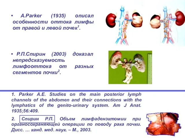 1. Parker A.E. Studies on the main posterior lymph channels of the