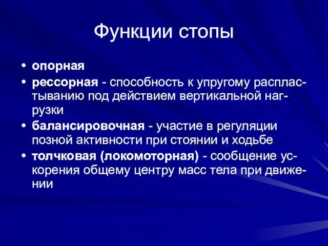 Функции стопы опорная рессорная - способность к упругому расплас-тыванию под действием вертикальной