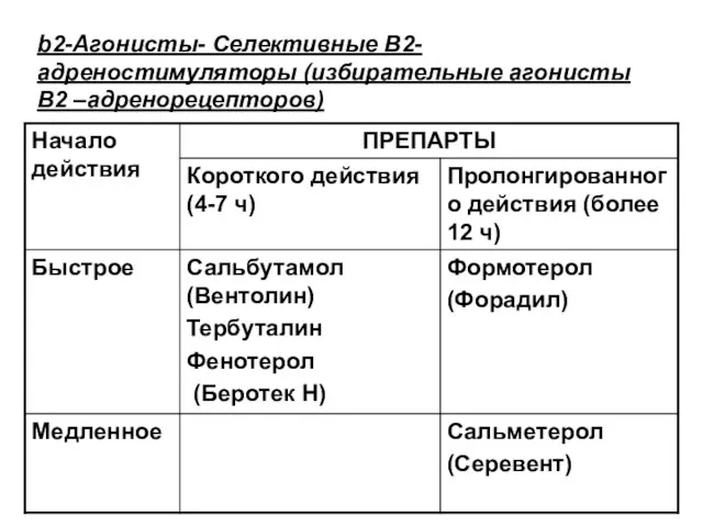 b2-Агонисты- Селективные В2- адреностимуляторы (избирательные агонисты В2 –адренорецепторов)