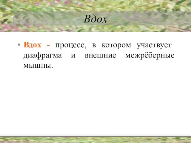 Вдох Вдох - процесс, в котором участвует диафрагма и внешние межрёберные мышцы.