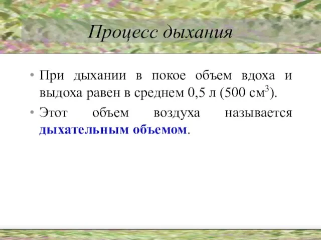 Процесс дыхания При дыхании в покое объем вдоха и выдоха равен в