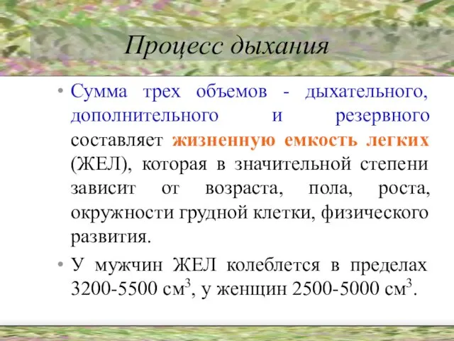 Процесс дыхания Сумма трех объемов - дыхательного, дополнительного и резервного составляет жизненную