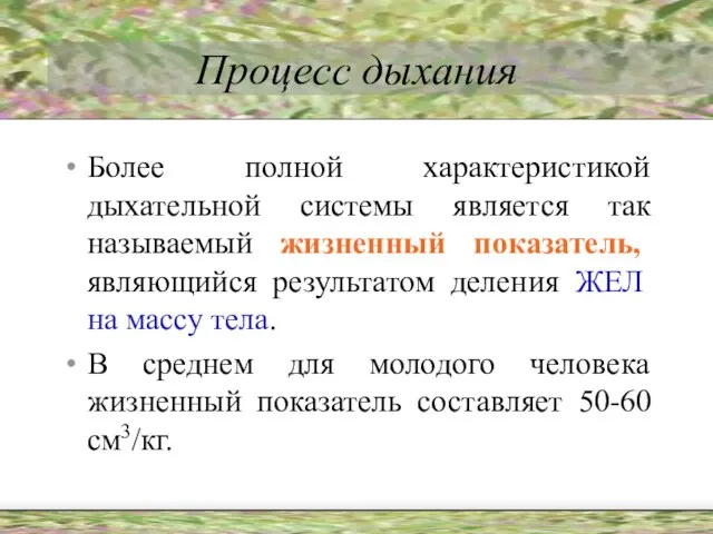 Процесс дыхания Более полной характеристикой дыхательной системы является так называемый жизненный показатель,