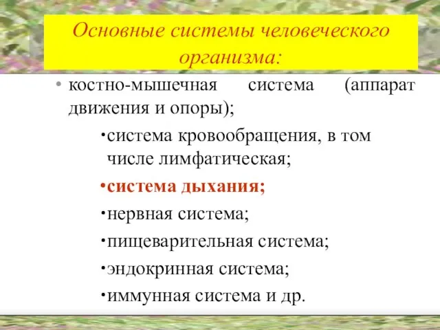 Основные системы человеческого организма: костно-мышечная система (аппарат движения и опоры); система кровообращения,