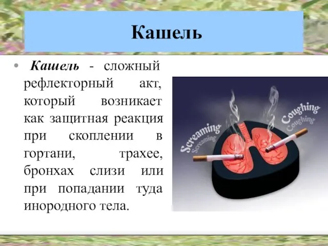 Кашель Кашель - сложный рефлекторный акт, который возникает как защитная реакция при