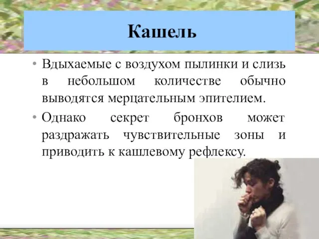 Кашель Вдыхаемые с воздухом пылинки и слизь в небольшом количестве обычно выводятся