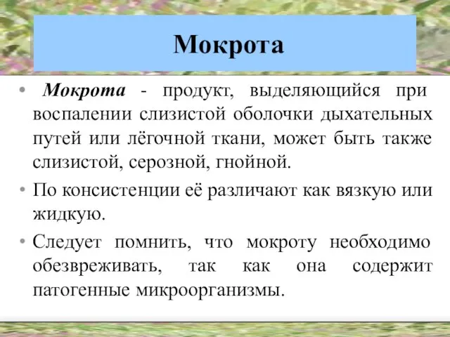 Мокрота Мокрота - продукт, выделяющийся при воспалении слизистой оболочки дыхательных путей или