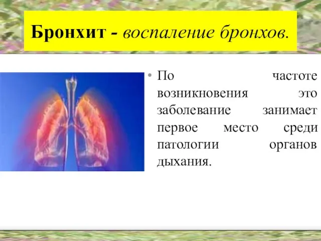 Бронхит - воспаление бронхов. По частоте возникновения это заболевание занимает первое место среди патологии органов дыхания.