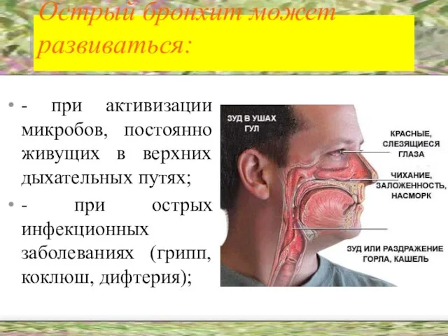 Острый бронхит может развиваться: - при активизации микробов, постоянно живущих в верхних