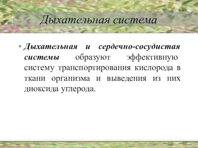 Дыхательная система Дыхательная и сердечно-сосудистая системы образуют эффективную систему транспортирования кислорода в