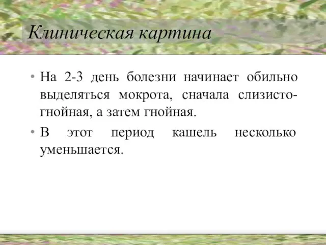 Клиническая картина На 2-3 день болезни начинает обильно выделяться мокрота, сначала слизисто-гнойная,