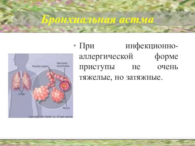 Бронхиальная астма При инфекционно-аллергической форме приступы не очень тяжелые, но затяжные.