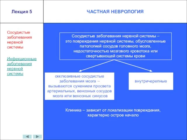 Сосудистые заболевания нервной системы Сосудистые заболевания нервной системы – это повреждения нервной