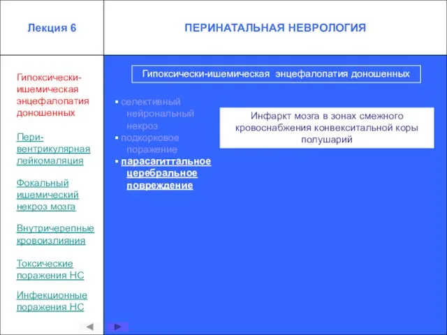 Гипоксически-ишемическая энцефалопатия доношенных селективный нейрональный некроз подкорковое поражение парасагиттальное церебральное повреждение Инфаркт