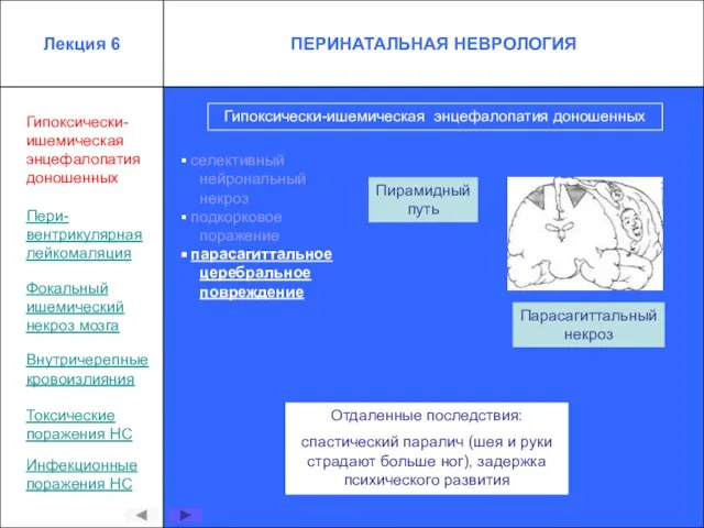 Гипоксически-ишемическая энцефалопатия доношенных селективный нейрональный некроз подкорковое поражение парасагиттальное церебральное повреждение Отдаленные