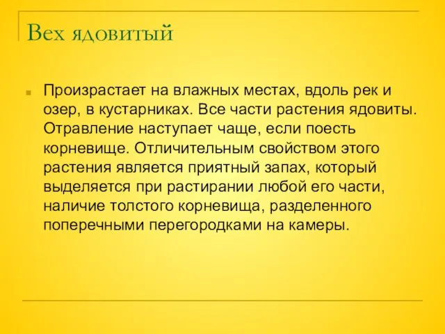 Вех ядовитый Произрастает на влажных местах, вдоль рек и озер, в кустарниках.