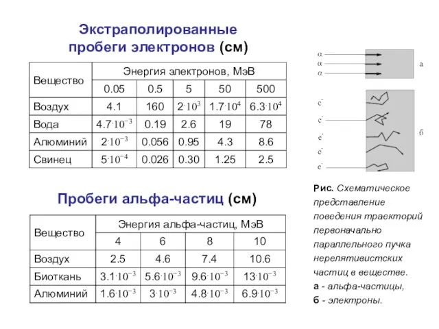 Экстраполированные пробеги электронов (см) Пробеги альфа-частиц (см) Рис. Схематическое представление поведения траекторий