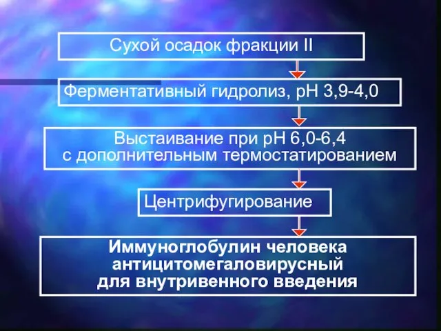 Сухой осадок фракции II Ферментативный гидролиз, рН 3,9-4,0 Выстаивание при рН 6,0-6,4