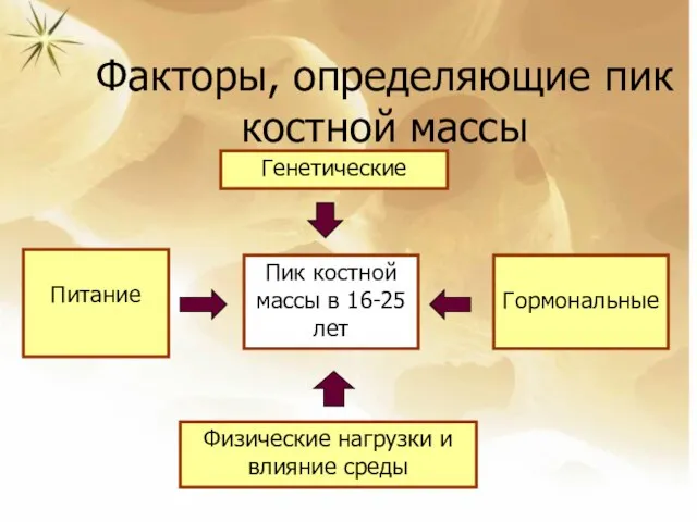 Факторы, определяющие пик костной массы Пик костной массы в 16-25 лет Физические