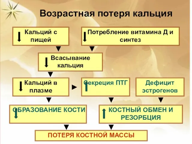 Возрастная потеря кальция Кальций с пищей Потребление витамина Д и синтез Всасывание