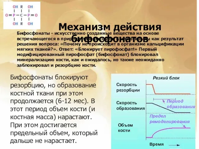 Механизм действия бифосфонатов Резкий блок Скорость резорбции Скорость образования Объем кости Период