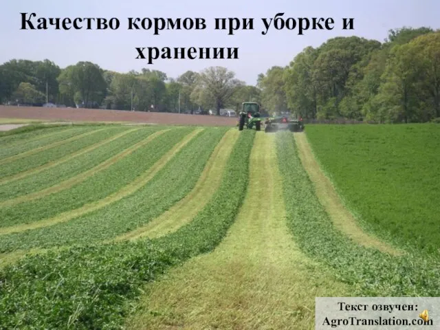 Качество кормов при уборке и хранении Текст озвучен: AgroTranslation.com