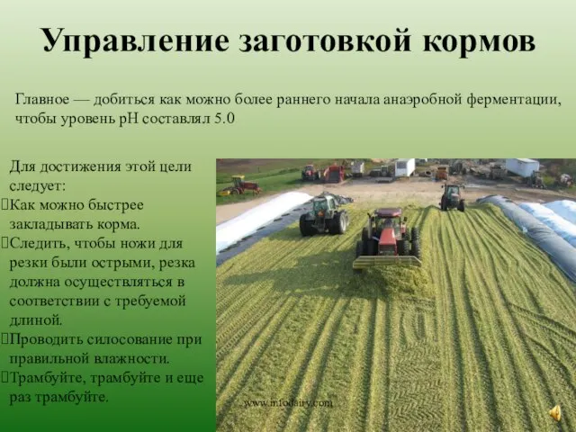 Управление заготовкой кормов www.infodairy.com Главное — добиться как можно более раннего начала