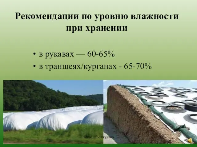 Рекомендации по уровню влажности при хранении в рукавах — 60-65% в траншеях/курганах - 65-70% www.infodairy.com