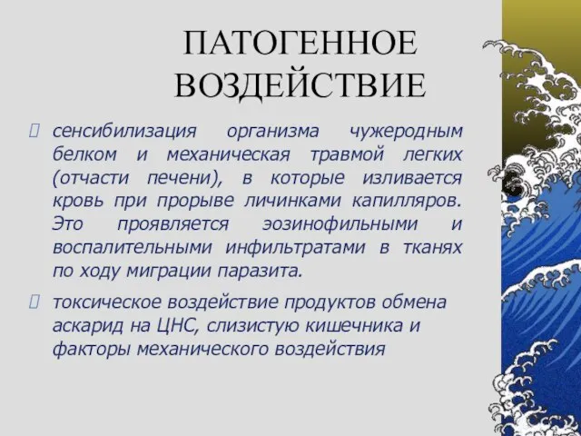 ПАТОГЕННОЕ ВОЗДЕЙСТВИЕ сенсибилизация организма чужеродным белком и механическая травмой легких (отчасти печени),