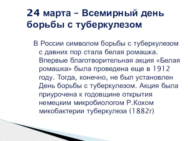 В России символом борьбы с туберкулезом с давних пор стала белая ромашка.