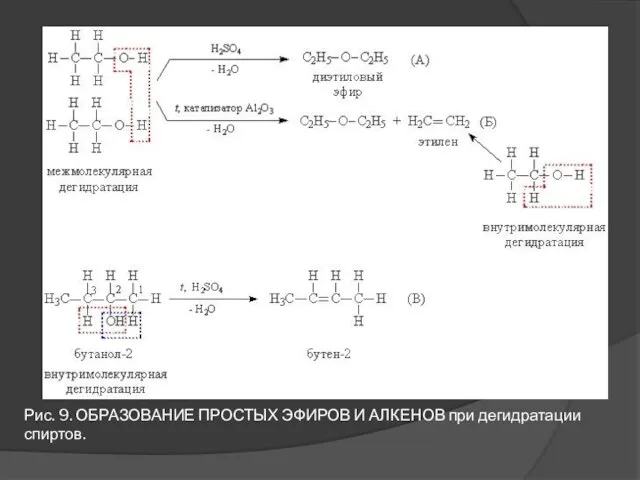 Рис. 9. ОБРАЗОВАНИЕ ПРОСТЫХ ЭФИРОВ И АЛКЕНОВ при дегидратации спиртов.