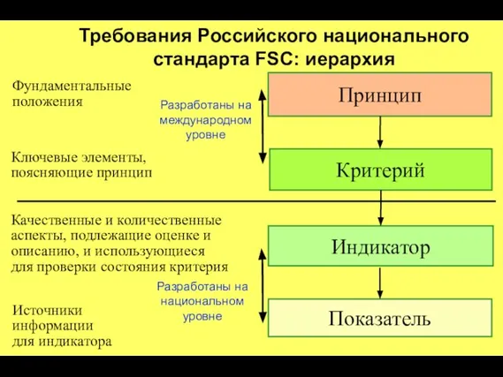 Требования Российского национального стандарта FSC: иерархия Разработаны на международном уровне Разработаны на национальном уровне