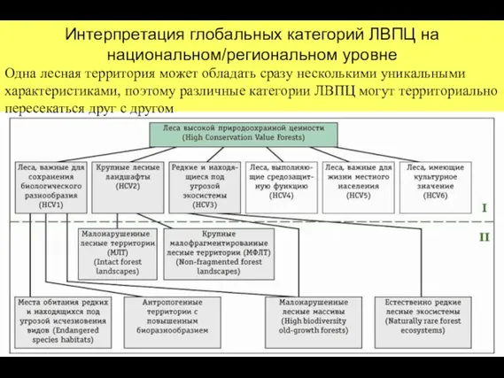 Интерпретация глобальных категорий ЛВПЦ на национальном/региональном уровне Одна лесная территория может обладать