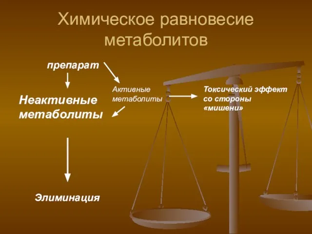 Химическое равновесие метаболитов препарат Неактивные метаболиты Активные метаболиты Токсический эффект со стороны «мишени» Элиминация