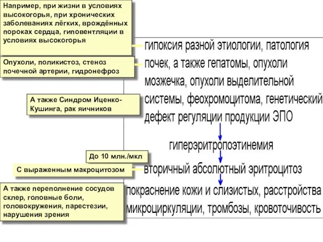 Например, при жизни в условиях высокогорья, при хронических заболеваниях лёгких, врождённых пороках