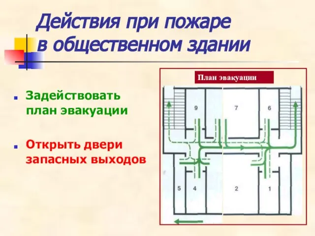 Действия при пожаре в общественном здании Задействовать план эвакуации Открыть двери запасных выходов План эвакуации