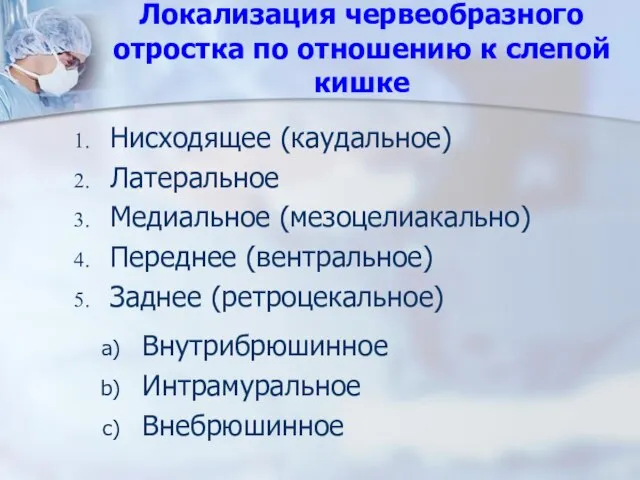 Локализация червеобразного отростка по отношению к слепой кишке Нисходящее (каудальное) Латеральное Медиальное