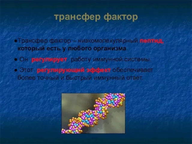 Трансфер фактор – низкомолекулярный пептид, который есть у любого организма. Он регулирует