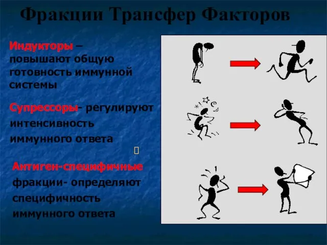 Индукторы –повышают общую готовность иммунной системы Фракции Трансфер Факторов Супрессоры- регулируют интенсивность