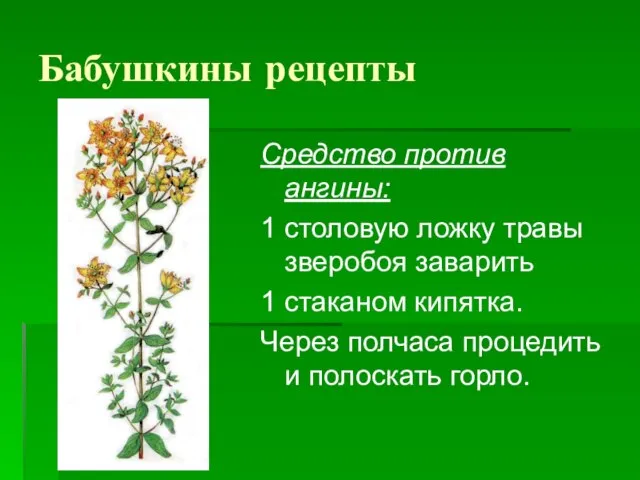 Бабушкины рецепты Средство против ангины: 1 столовую ложку травы зверобоя заварить 1