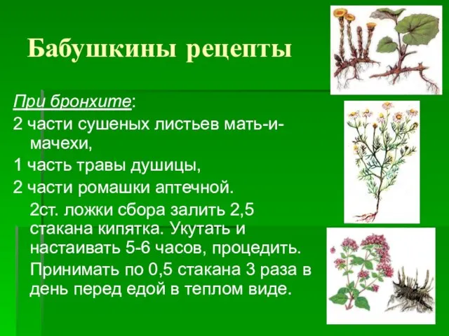 Бабушкины рецепты При бронхите: 2 части сушеных листьев мать-и-мачехи, 1 часть травы