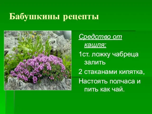 Бабушкины рецепты Средство от кашля: 1ст. ложку чабреца залить 2 стаканами кипятка,