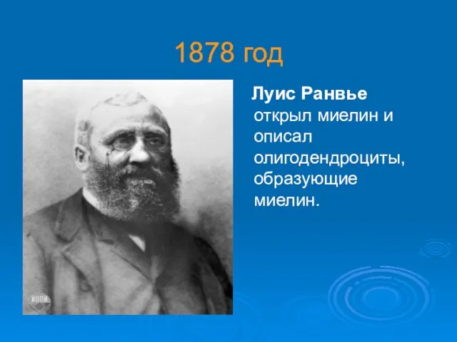 1878 год Луис Ранвье открыл миелин и описал олигодендроциты, образующие миелин.